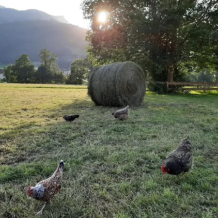 Pulvererhof 아파트 아첸키르흐