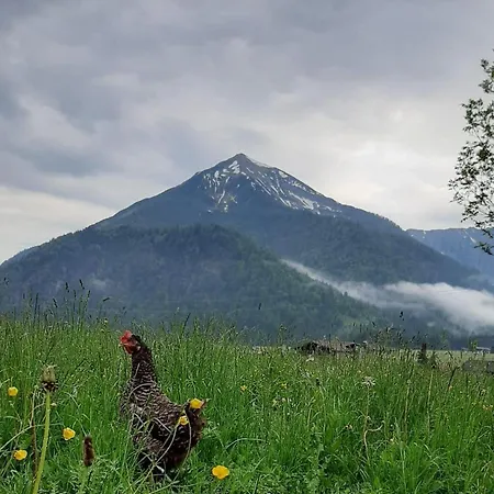 Pulvererhof 아파트 *