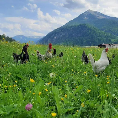 Pulvererhof 아파트 아첸키르흐