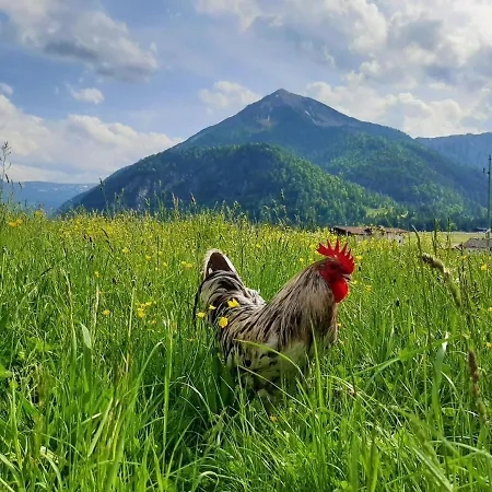 Pulvererhof Achenkirch