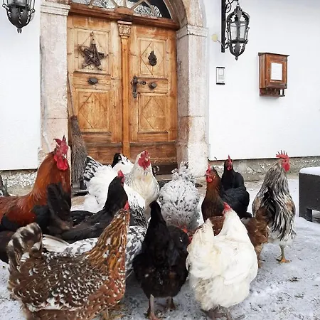 Pulvererhof * 아첸키르흐