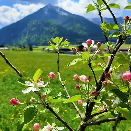 Apartment Pulvererhof Achenkirch