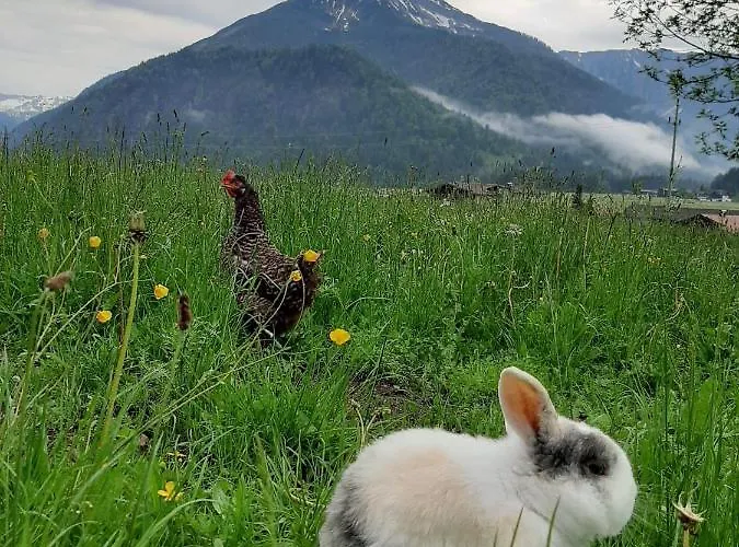 شقة Pulvererhof *