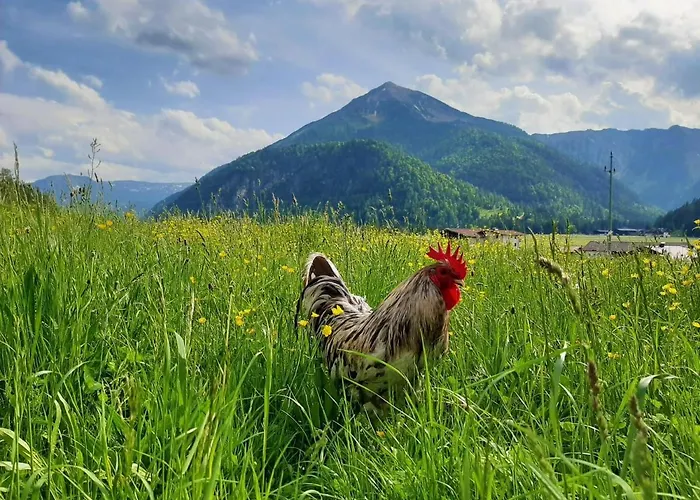 Pulvererhof اشنكريش