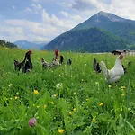Pulvererhof Apartamento Achenkirch