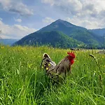 Pulvererhof Achenkirch